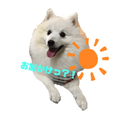 [LINEスタンプ] はく＆もか