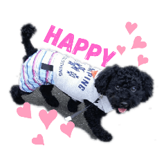 [LINEスタンプ] 黒いトイプー♡ヒロの気持ち②