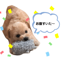 [LINEスタンプ] ふわふわベルちゃんスタンプ