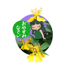 [LINEスタンプ] フラワーズ FLOWERS