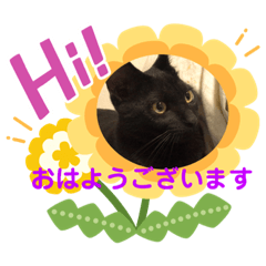[LINEスタンプ] ミュウの日頃使えるスタンプ