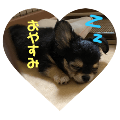 [LINEスタンプ] リクくんスタンプ01
