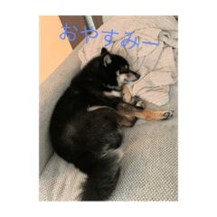 [LINEスタンプ] テッショウの挨拶