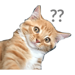 [LINEスタンプ] きなこ＆あずき