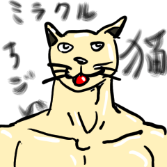 [LINEスタンプ] 超猫