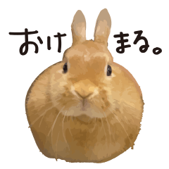 [LINEスタンプ] ゆきちとふみ様
