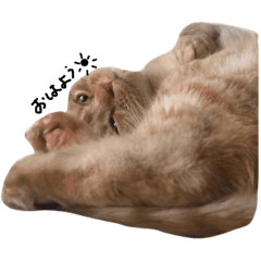 [LINEスタンプ] こむぎ、くん 2