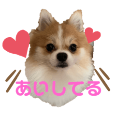 [LINEスタンプ] 桃太のまいにち