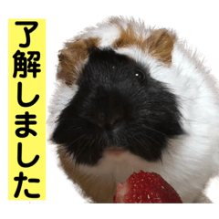 [LINEスタンプ] ライトさん1