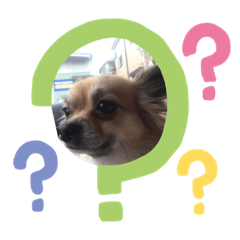 [LINEスタンプ] leeeeqooo