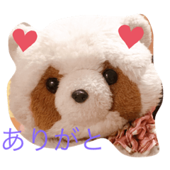 [LINEスタンプ] たぬちゃんの毎日