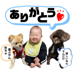 [LINEスタンプ] ムチムチボディのらいまくん