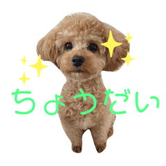 [LINEスタンプ] まるかちいょう