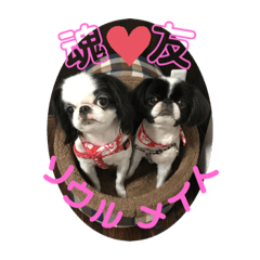 [LINEスタンプ] 狆のマウスウPart Ⅲ