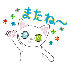 [LINEスタンプ] オッドアイ猫のKOKU ＆HAKU