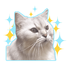 [LINEスタンプ] もふねこズ