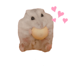 [LINEスタンプ] ハムスター・ぽっくる