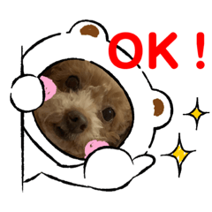 [LINEスタンプ] 宮澤家のわんこ。