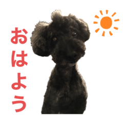 [LINEスタンプ] ラッキー・スタンプ 小島家の愛犬