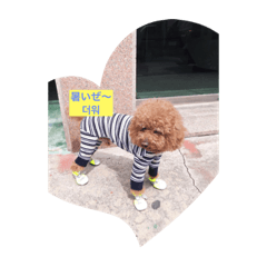 [LINEスタンプ] ミクちゃん❤️
