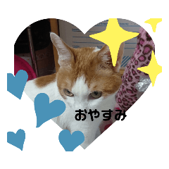 [LINEスタンプ] ゆっくりしてるにゃあん
