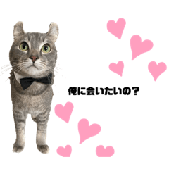 [LINEスタンプ] るい様スタンプ