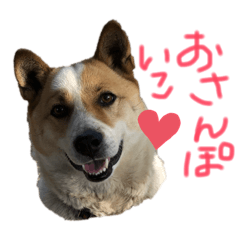 [LINEスタンプ] ポッケだよ