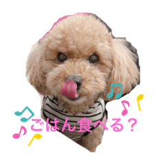 [LINEスタンプ] てでぃべあー