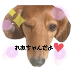 [LINEスタンプ] 可愛いレアちゃんのスタンプ