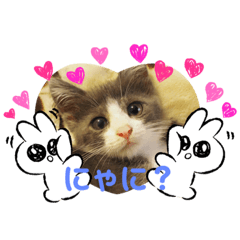 [LINEスタンプ] ほっけ様の1日
