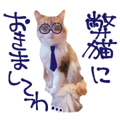 [LINEスタンプ] 弊猫