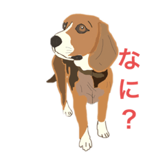 [LINEスタンプ] ぽんちゃっくの日常