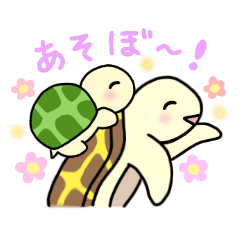 [LINEスタンプ] カメ兄妹のひとことスタンプ