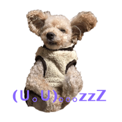 [LINEスタンプ] 海君