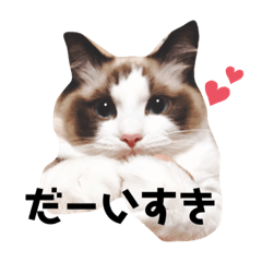 [LINEスタンプ] ひめちゃん一言スタンプその①