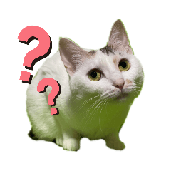 [LINEスタンプ] くまみ..改