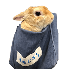[LINEスタンプ] 男一匹うさぎの桃次郎