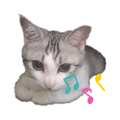 [LINEスタンプ] maruchannekoneko