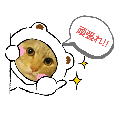 [LINEスタンプ] わらびくんスタンプの第二弾です！