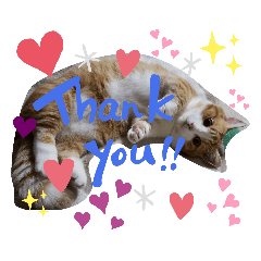 [LINEスタンプ] 猫のルキとレンレン