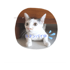 [LINEスタンプ] オハギ