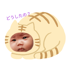 [LINEスタンプ] れのあスタンプ2