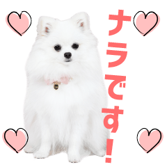 [LINEスタンプ] ナラちゃんのとっても可愛いスタンプです！