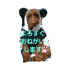 [LINEスタンプ] まみーねね