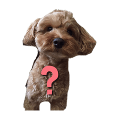 [LINEスタンプ] そら.y