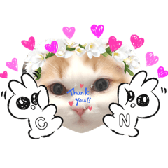 [LINEスタンプ] 癒しのあまこ