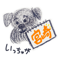 [LINEスタンプ] 宮崎弁の黒シュナ「ステラ」