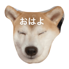[LINEスタンプ] ふやふや