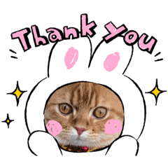 [LINEスタンプ] ゆみこじろうの部屋