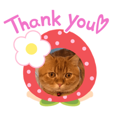 [LINEスタンプ] ゆみこじろう